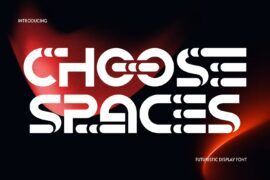 CHOOSE SPACES DEMO Font