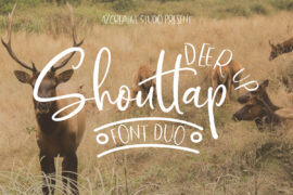 DeerUp Shouttap Sans Font
