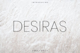 DesirasNonCommercial Font