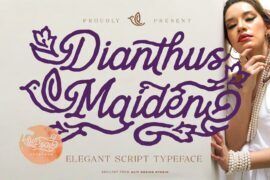 Dianthus Maiden Font