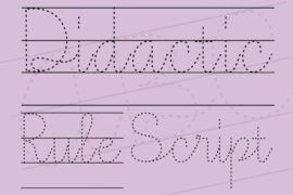 Didactic Font Family