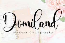 Domiland Font