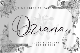 Driana Brideth Font Family