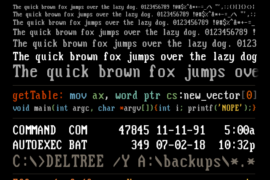 Flexi IBM VGA True Font Family