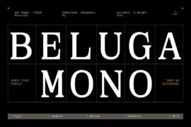 GC Beluga Mono Demo Font Family