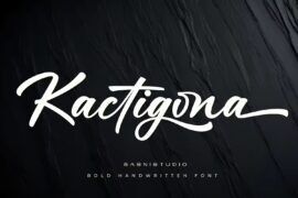Kactigona Font