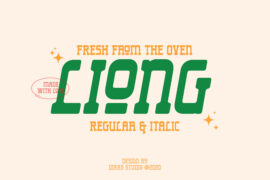 Liong Personal Use Font Family