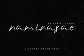 Naminasae Demo Font