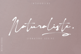 Naturaliste Font