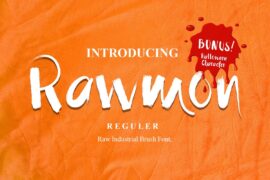 Rawmon demo Font