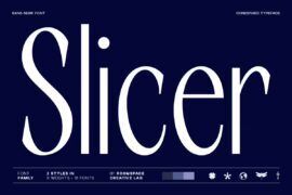 RCL Slicer Demo Font