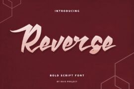 Reverse Demo Font