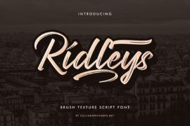 Ridleys Demo Font