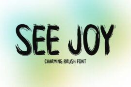 See Joy Font