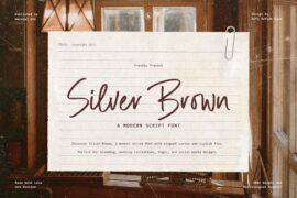 Silver Brown Font