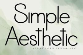Simple Aesthetic Font