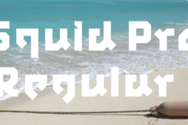 Squid Pro Font