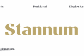 Stannum Trial Font Family