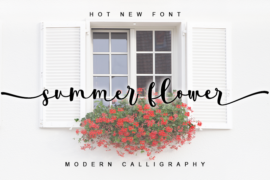 summer flower- personal use Font