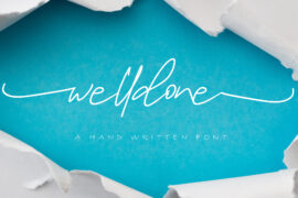 Welldone Special Font Family