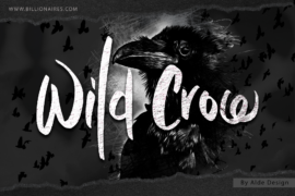 Wild Crow Font Family