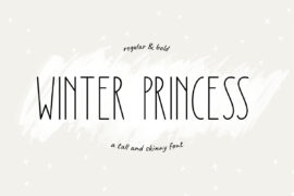 Winter Princess Font